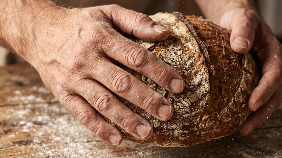 Flour-dusted hands of a baker holding a rustic sourdough loaf with a cracked crust